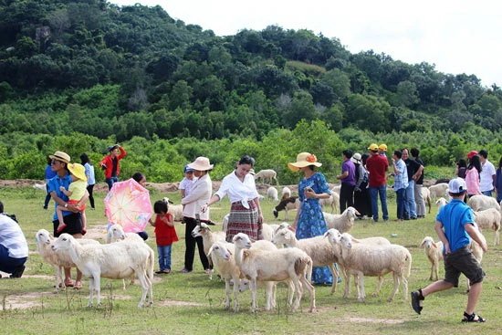 Cánh đồng hạnh phúc